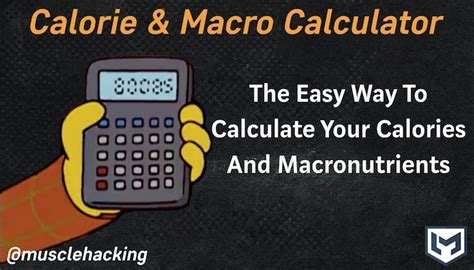 Leangains Lean Bulk Bulking Calculator Calculate Your Calories
