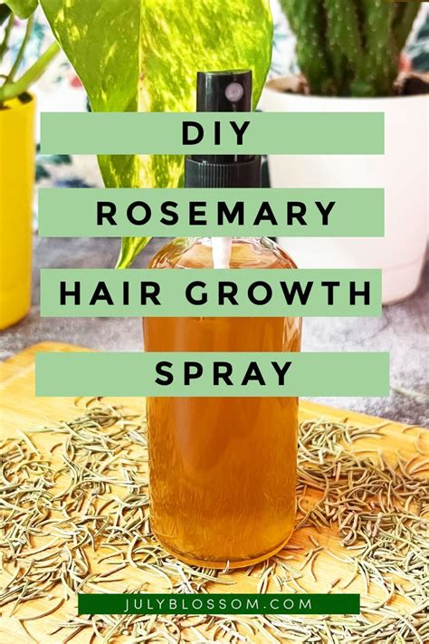 How To Make Rosemary Water For Hair Growth Rosemary Water Hair