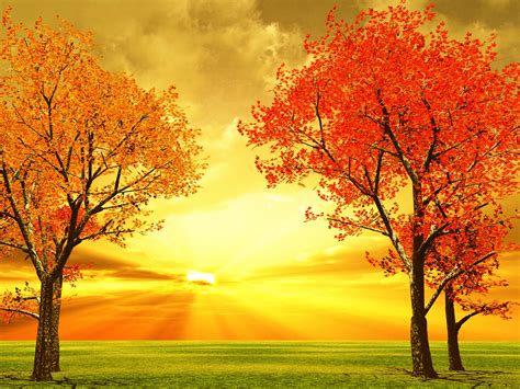 Pretty Fall Backgrounds (51+ images)