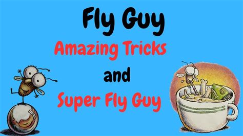 super fly guy and fly guy s amazing tricks youtube