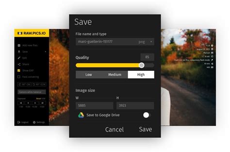 Navigate to choose file on the page > upload your jpg file > input the dimensions in pixels (e.g. PNG to JPG online free converter | Raw.pics.io