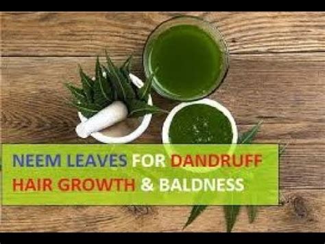 It also prevents premature greying of hair. DIY : Neem Oil for Hair Fall and Hair Growth | Hair Fall ...