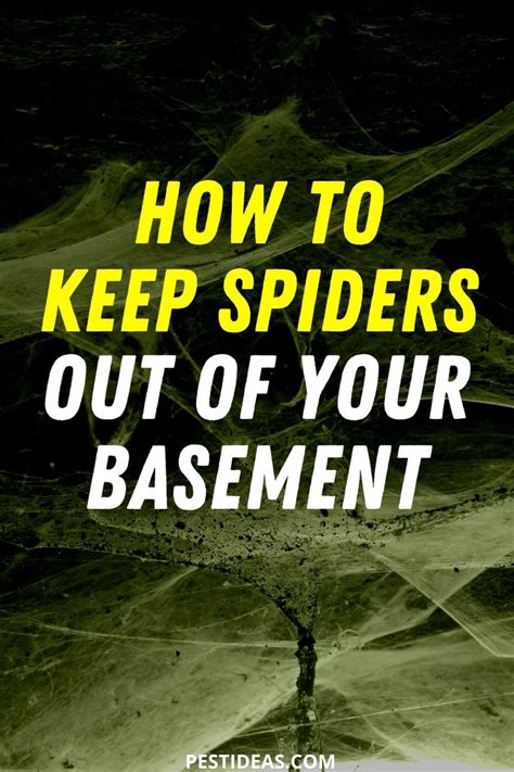 Take the time to sweep the floor after eating to make sure there are no crumbs that will attract insects. How to Keep Spiders Out of Your Basement in 2020 | Get rid ...