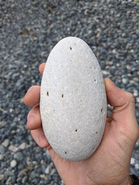 The Shape Of This Egg Shaped Rock Roddlysatisfying
