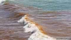 Raw Sewage Discharged At Cornwall And Devon Beaches BBC News
