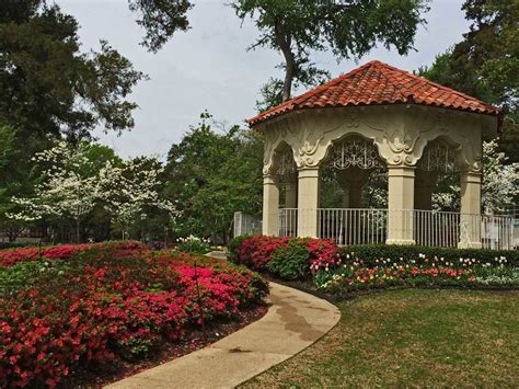 Upscale nursery carrying large selections of flowers & plants with two locations in dallas fort worth. Plants for Dallas - Your Source for the Best Landscape ...