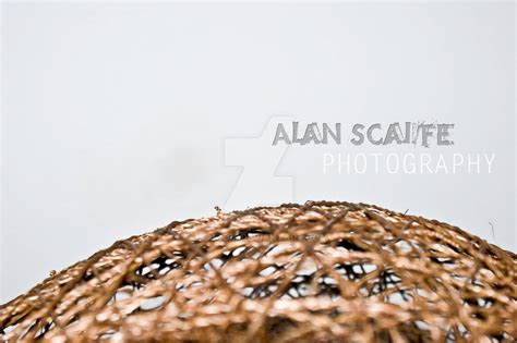 Alan Scaife Photography By Kaiqom On Deviantart
