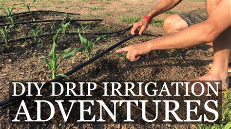 Diy Drip Irrigation Adventures Youtube