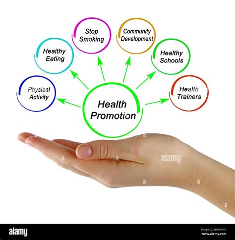 Six Targets Of Health Promotion Stock Photo Alamy