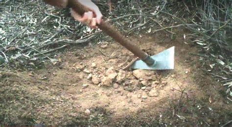 Are you curious about metal detecting, and wondering how deep a metal detector can go? Biggest Gold Nugget Metal Detecting