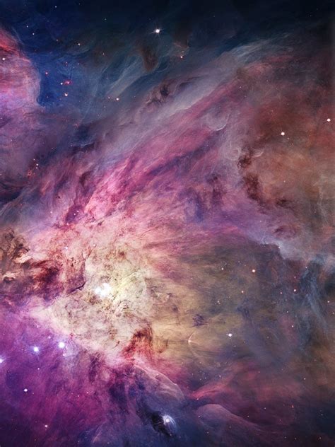 Free Download The Orion Nebula Ultra Hd 4k 1920x1080 For Your Desktop
