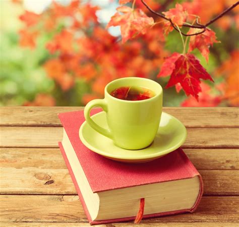 Tea Winter And Books Wallpapers Wallpaper Cave