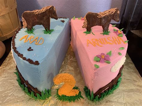 Twin Sisters Twins Birthday Cake Designs Handyman Cake Melaniroski