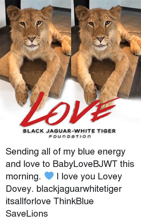 Black Jaguar White Tiger Sending All Of My Blue Energy And Love To