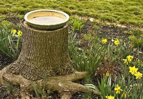 Tree Stump Bird Bath Tree Stump Decor Recycled Garden Art Bird Bath