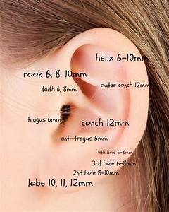 Sizing Chart For Ear Piercings