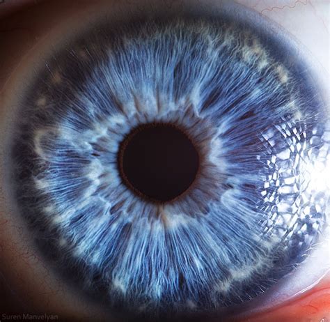The Science Behind These Amazing Photographs Of The Human Eye Smart