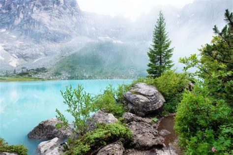 Forest And Turquoise Lake In The Dolomites Apls Italy Stock Image