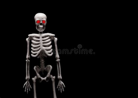 The Figure Of The Human Skeleton Stock Photo Image Of Bone Body