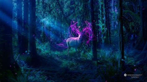Magical Forest Desktopography