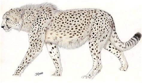Giant Cheetah By Jagroar On Deviantart