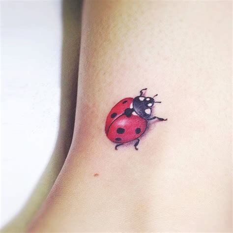 Lady Bug Tattoo Lady Bug Tattoo Bug Tattoo Ladybird Tattoo