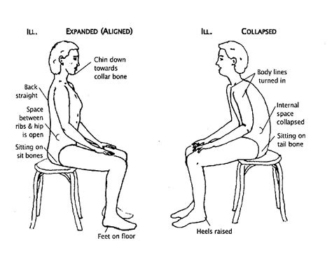 How To Sit Correctly And Properly Revolution Chiropractic
