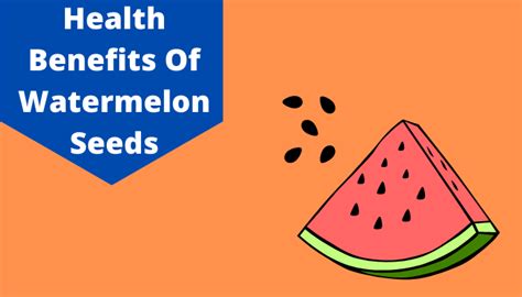 Benefits Of Watermelon Seeds 10 Best Health Benefits Of Eating