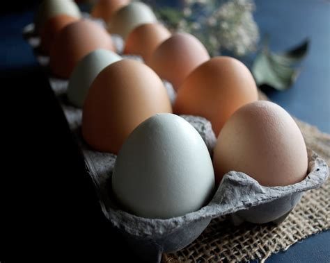 Farm Fresh Eggs Three Ways The Original Dish