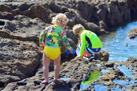 Tips and Advice for Exploring Tide Pools with Kids