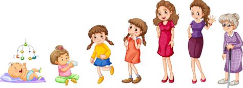 Child Growing Up Vector Art Icons And Graphics For Free Download