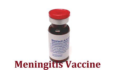 Meningitis Vaccine Definition 5 Types Who Needs It And Side Effects