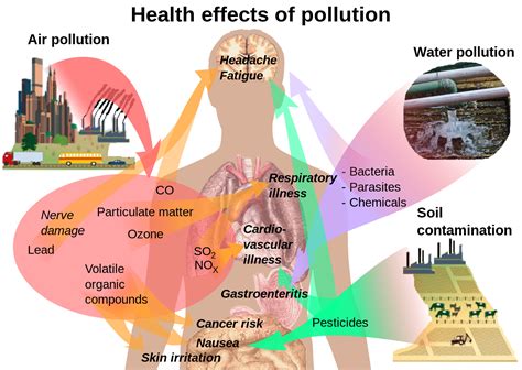 Filehealth Effects Of Pollutionsvg Wikimedia Commons