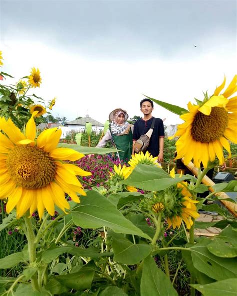 Check spelling or type a new query. Pesona Taman Bunga Kadung Hejo di Pandeglang - Backpacker ...