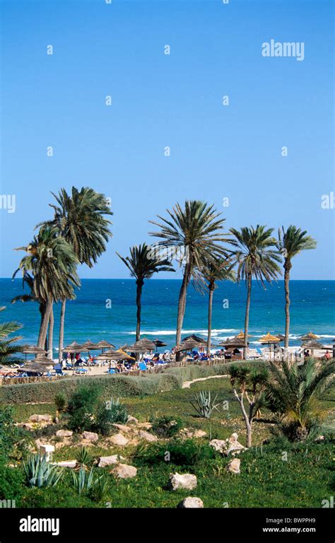 Tunisie Djerba Zarzis Oasis Afrique Afrique Du Nord De Lîle De La