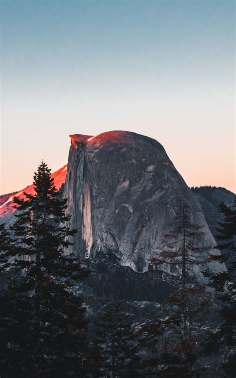 800x1280 5k Yosemite National Park Nexus 7samsung Galaxy Tab 10note