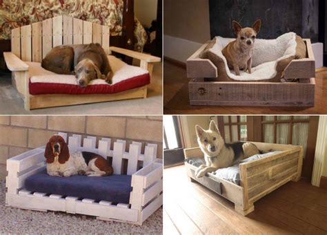 Diy Pallet Dog Bed The Whoot