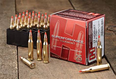 Hornady 17 Hornet Ammo 20gr Vmax 25 Rounds 83005 17 And 204