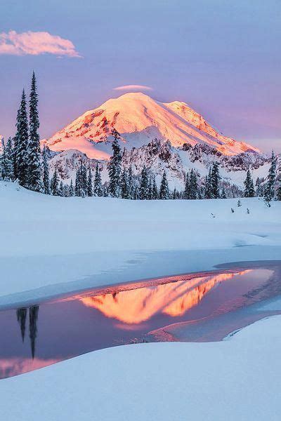 Winter Scenery Mount Rainier National Park Washington Usa Winter