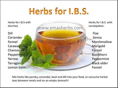 Herbs For Irritable Bowel Syndrome Ibs