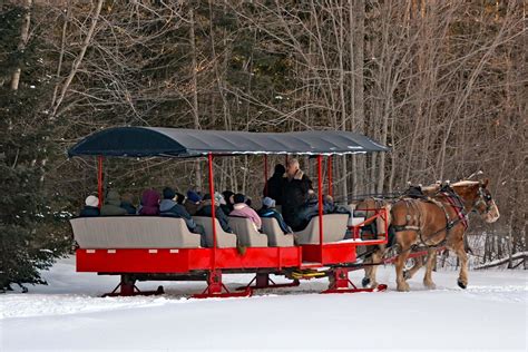 The Lead Sleigh On The Trail Elk Viewing Sleigh Ride T Flickr