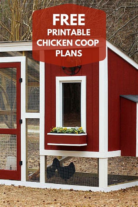 Who are the chicken's enemies? Build a Custom Chicken Coop with FREE Printable Plans from ...