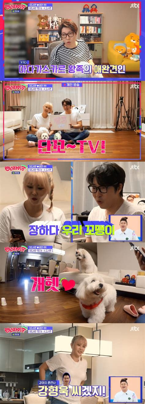 강아지 골든 리트리버 개 젊은. 종합 "음식 값만 11만원"…'랜선라이프' 밴쯔, 5시간 PC방 먹방기