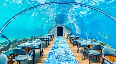 The Underwater Restaurant At Hurawalhi Maldives The 58 Underwater