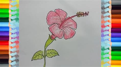 Try drawing a single flickering flame first so you can get used to using the right shapes and colors. How To Draw A Hibiscus Flower - Step by step Drawing ...