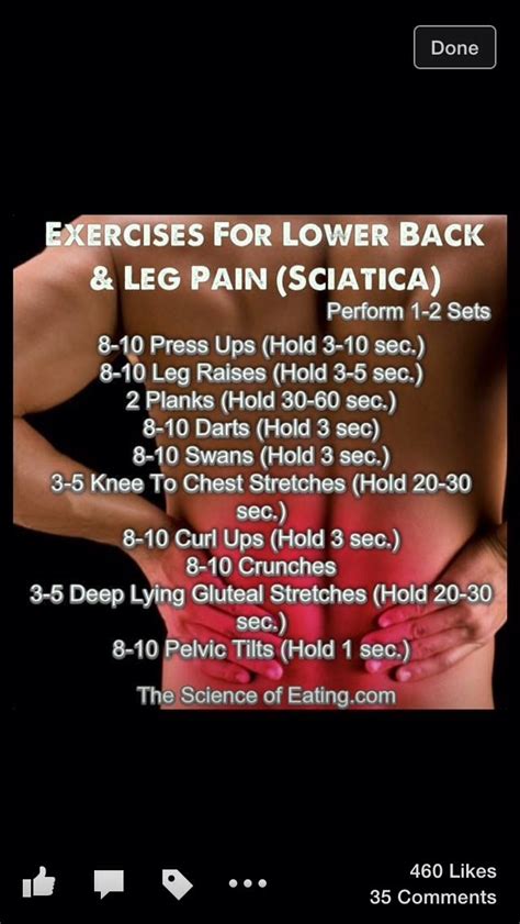 Exercises For Lower Back And Leg Pain Sciatica Musely