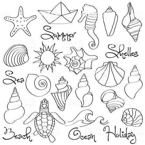 Hand Drawn Doodle Seashells And Sea Elements Set Vector Format