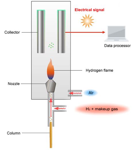 The hydrogen atmosphere flame ionization detector (hafid) can be made selective towards organometalllc. Fundamentals of Gas Chromatography - Types of Detectors ...