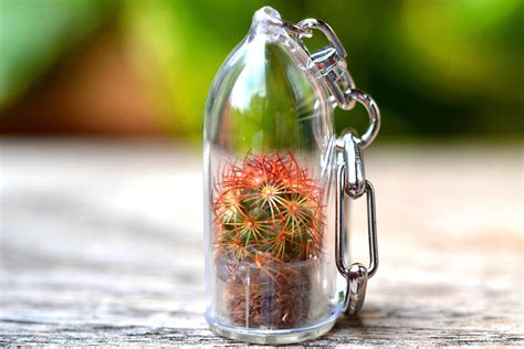 Once you pot your cactus, be sure to provide the right amount. Copper King Cactus Keychain (With images) | Cactus ...