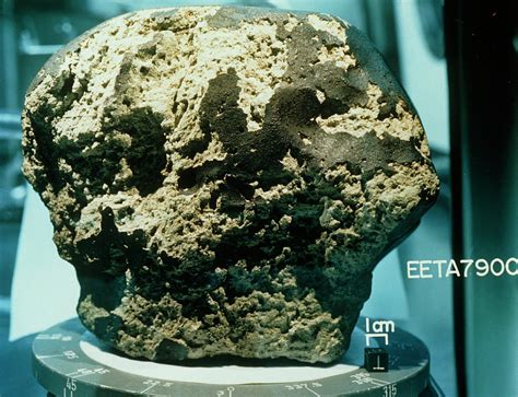 Meteorite Found In Antarctica In 1979 Photograph By Nasascience Photo